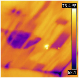 Moisture Problem Infrared